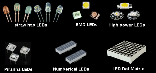 LED Species